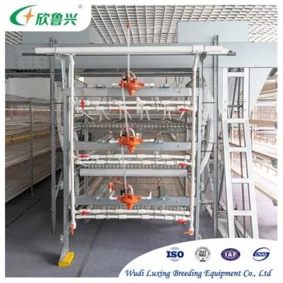 Newly Developed Automated Poultry Equipment for Quail Chicken Breeding Cage