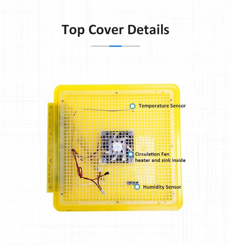 Small Capacity Digital 100 Chicken Egg Incubator Mini Incubator