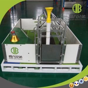 High Quality Farrowing Crates for Pig Automatic Farrowing Crate for Pig