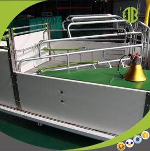 High Strengh Galvanized Farrowing Crates for Sow High Quality Farrowing Crates for Sale