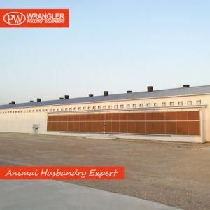 Complete Poultry Auto Breeding Equipment for Broiler / Breeder