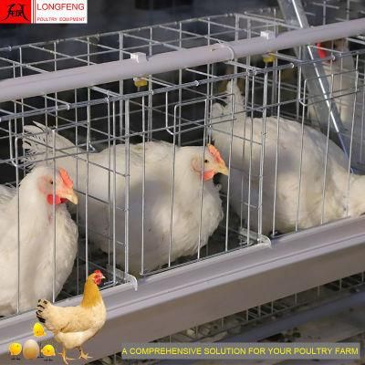 New Local After-Sale Service in Asia Poultry Farm Battery Chicken Cage