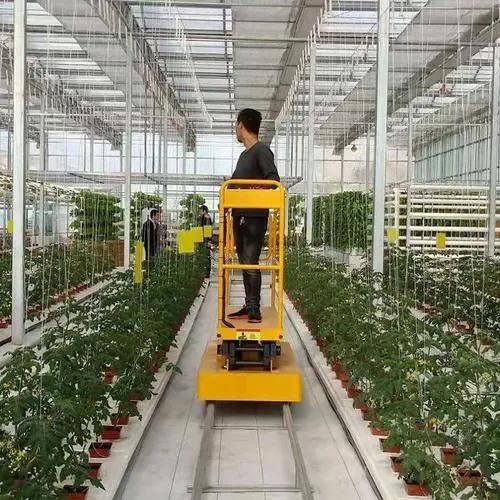 Aerial Platform Self-Propelled Movable Scissor Lift Table Hydraulic Elevator Auto Lift Trolley for Greenhouse Cucumber/Tomato Harvesting/Picking