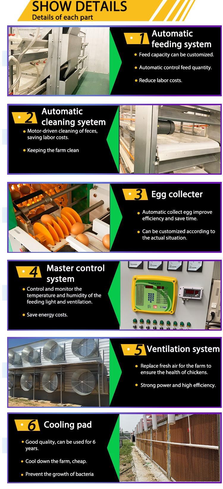 Completely Automatic Laying Hen Egg Layer Battery H Type Chicken Cages System