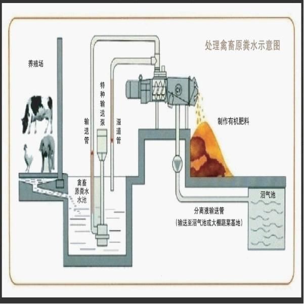 Poultry Chinese Dung Manure Solid Liquid Separator Extruder Machine