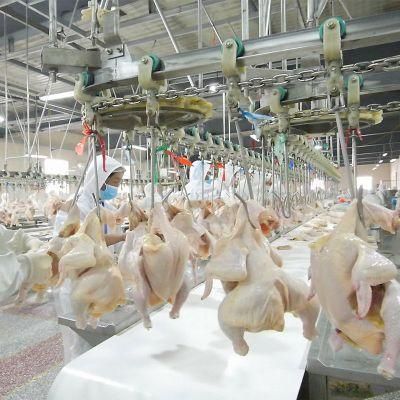 Raniche Broiler Chicken Slaughtering Production Line for Chicken Slaughter House Equipment