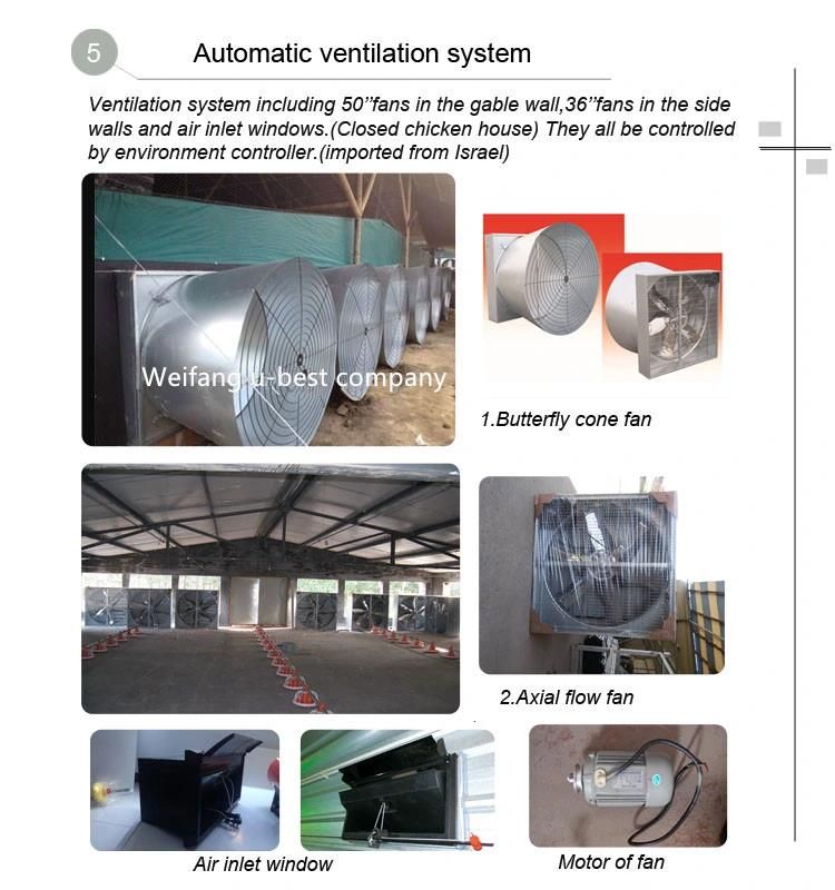 Complete Automatic Chicken House Equipment for Poultry and Broiler Farm Shed