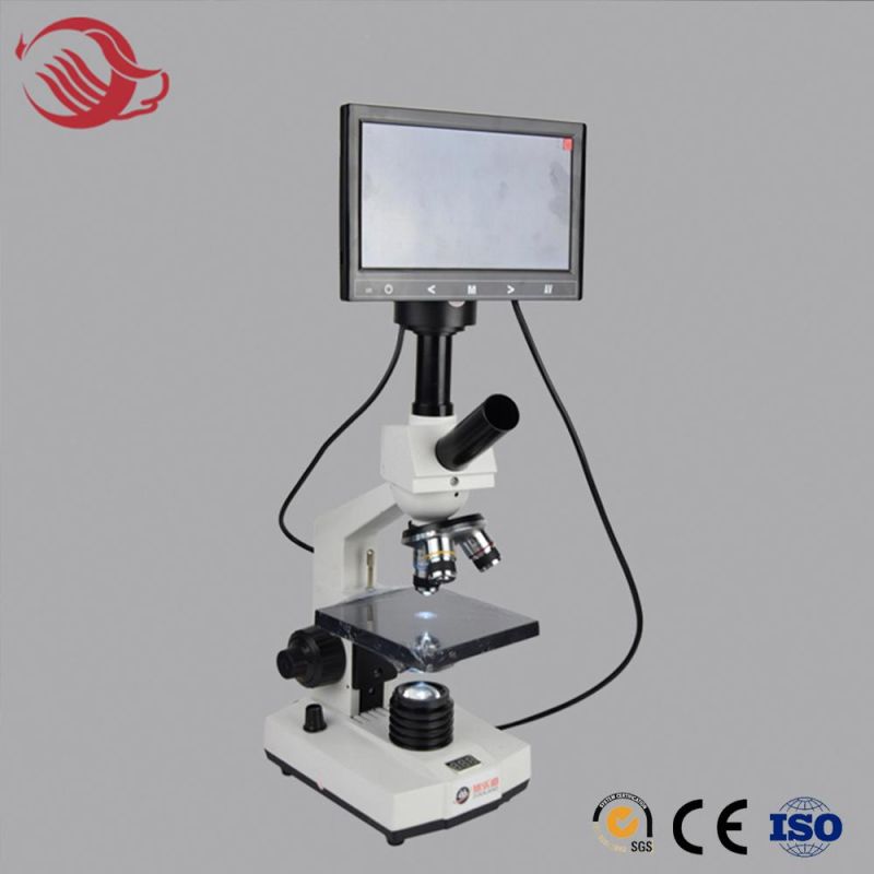 Cold Heading Steel and Zinc Material Automatic Duckbill Nipple Drinker/Water Fountain for Pigs