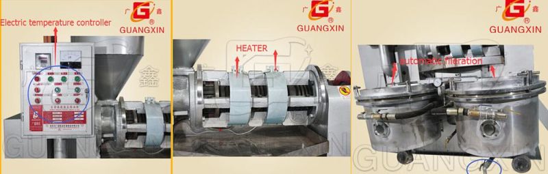 Guangxin Peanut Oil Press/Peanut Oil Expeller Machine/Oil Press Machine