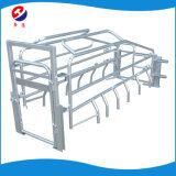 2019 Popular Farrowing Crate/ Gestation Crate Pig Farm Use Hot Galvanized Sow Crates