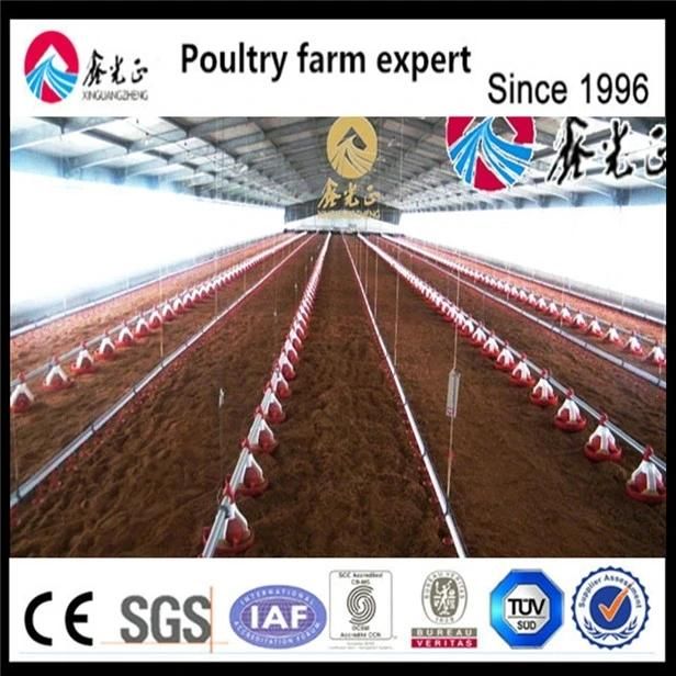 Automation Complete Poultry Farm Equipment Feeding System for Chicken Cages