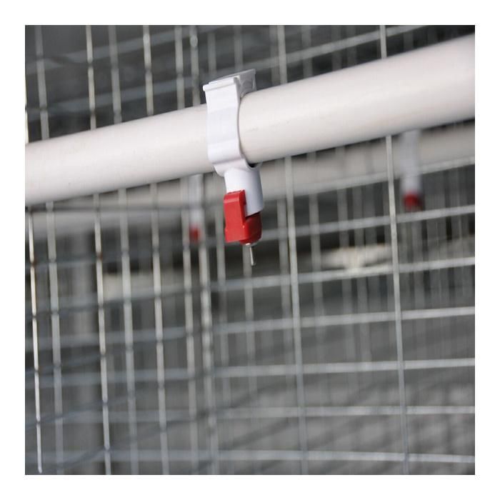 Type a Automatic Poultry Breeding Equipment Layer Cage