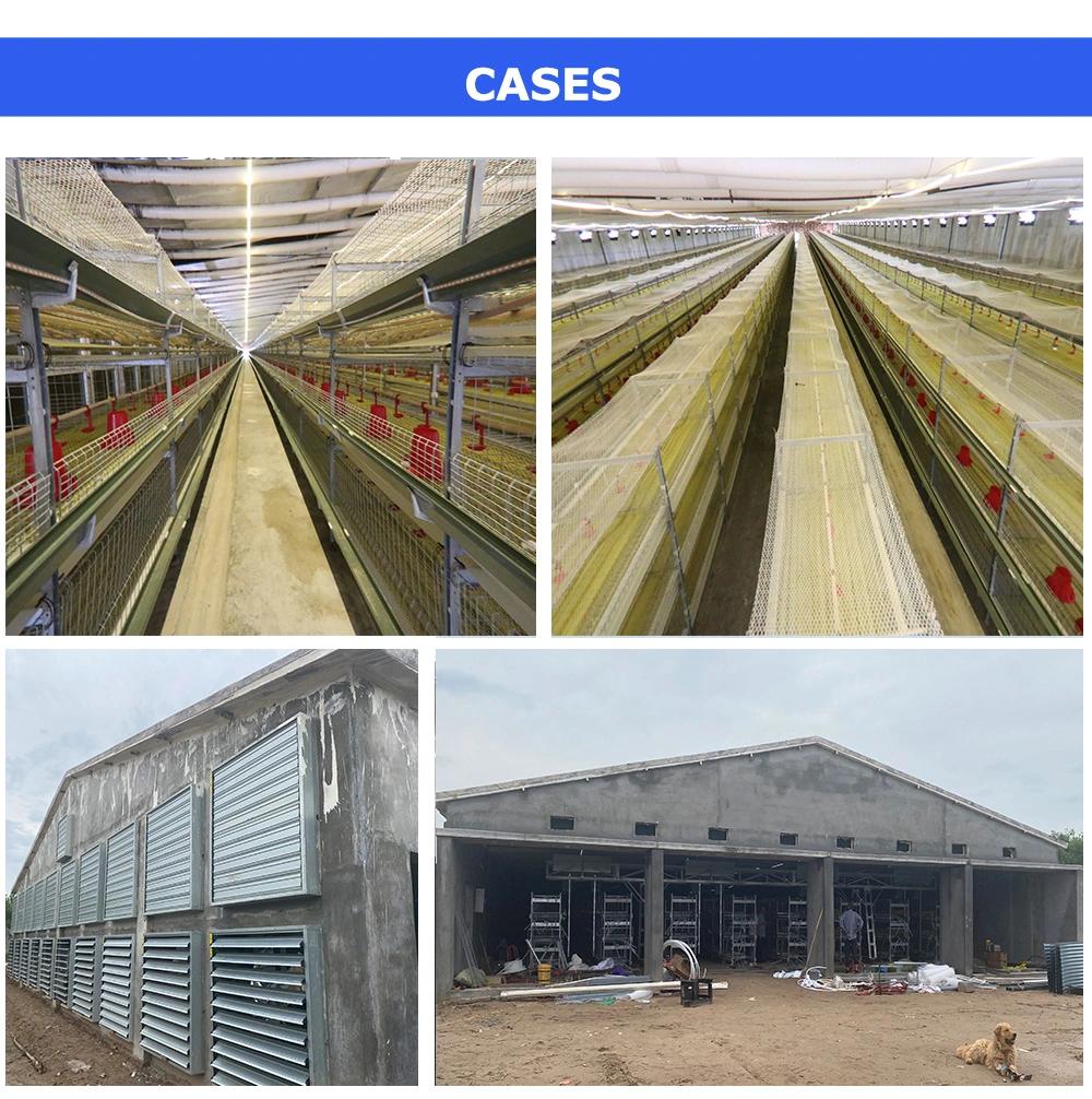 Hot Sale Automatic 4 Tiers Farm Chicken Cage System on Hot Selling