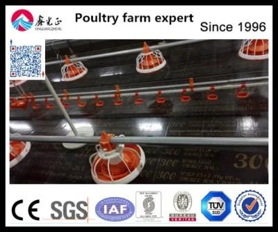 Auto Drinking System for Broiler Chicken