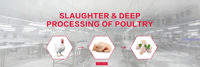 China Compact Chicken Processeing Table Slaughter Line Production