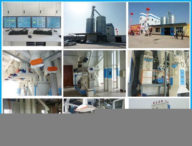 Small Size Carp Fish Feed Mill Plant 1 Ton Per Hour