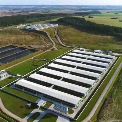 Full Set Automatic Equipment System Chicken Poultry Feeding House