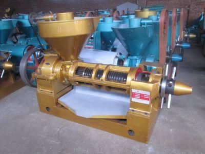 Palm Oil Press Machine