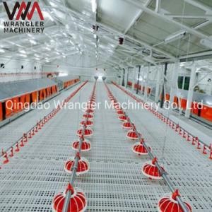 Chicken Farms Automatic Egg Nest for Laying Hen/Egg Automatic Collection Equipment