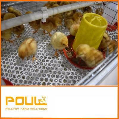 Baby Chicken Breeding Equipment