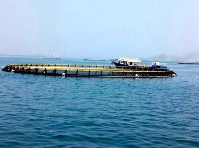 Plastic Floating Fish Farm Cage Aquaculture Equipment in Deep Sea