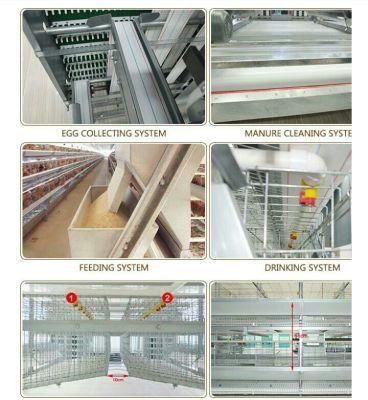 Steel Structure Prefabricated Building in Poultry