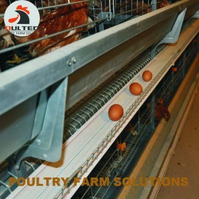 Chicken Cage Poultry Raising Equipment for Large Scale Poultry Farm