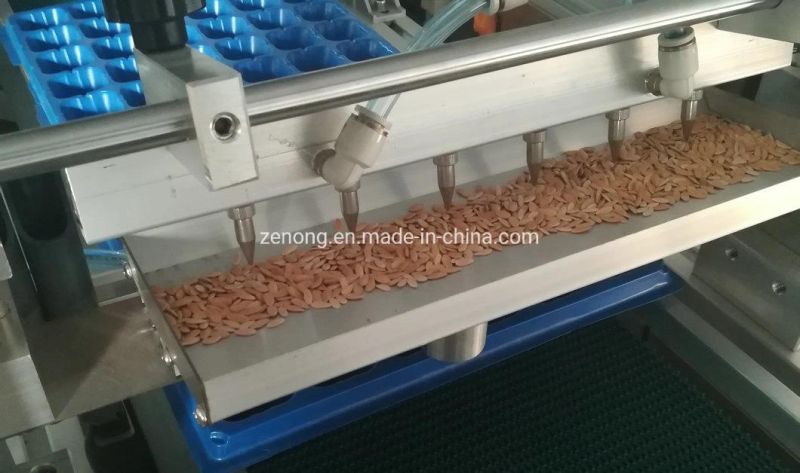 Automatic Tray Seeding Nursery Seeding Machine Seeds Sowing Machine for Seedling Tray Seeder