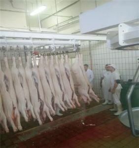 a Machine for Washing Pig Intestines/Slaughtering Line