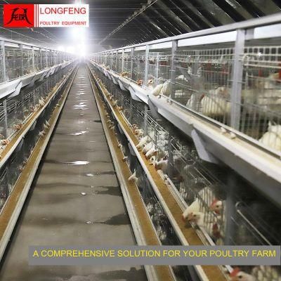 China Provide on-Site Installation Instruction Longfeng Standard Packing Broiler Chicken Cage