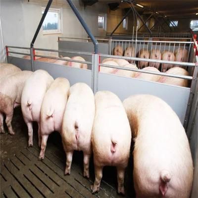 Easily Assemble Quickly Built Factory Price Steel Pig House