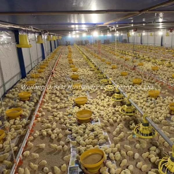 Imported Design Nipple Drinking Line for Broiler Chicken Farm