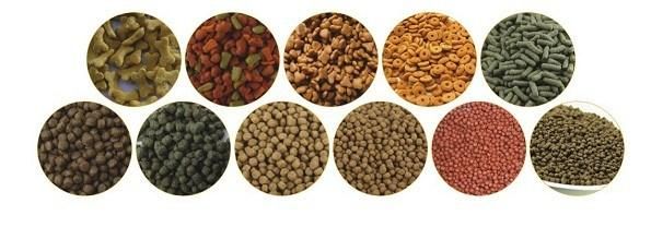 Dog Food and Fish Feed Production Line Manufacturer