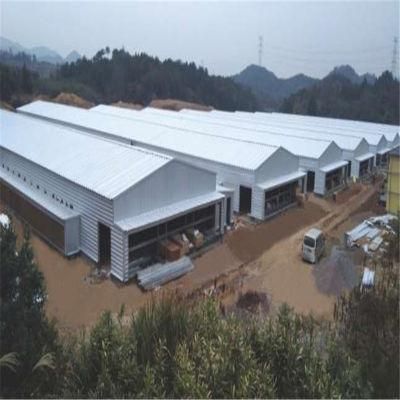 Prefab/Prefabricated High Output Steel Hen Poultry Equipment
