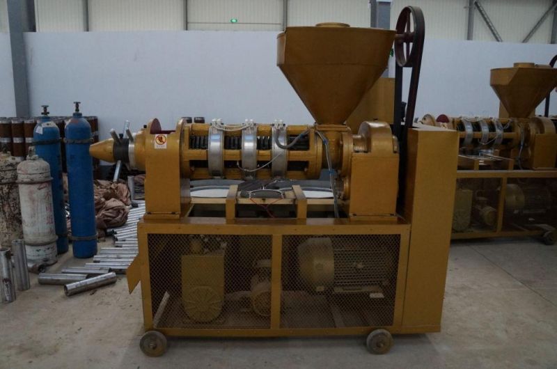 Sunflower Seeds Cotton Seeds Peanut Seed Oil Press From Guangxin Brand