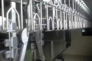 Halal Live Cattle Sheep Slaughter Equipment for Abattoir Butcher