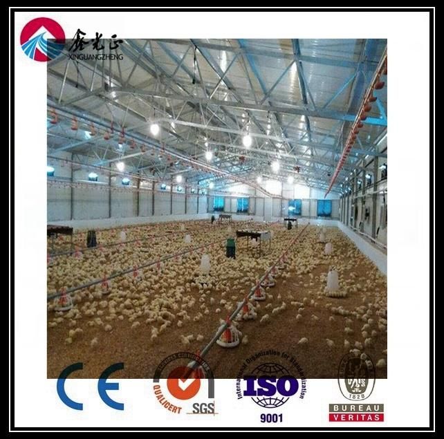 Steel Structure Poultry House (BYPH-220521009)