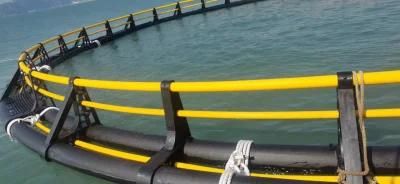 250mm HDPE Pipe with Bracket for Tilapia Floating Cage Filipino