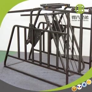 Practical Free Gestation Stall and Farrowing Crate Used in Modern Pig Farm