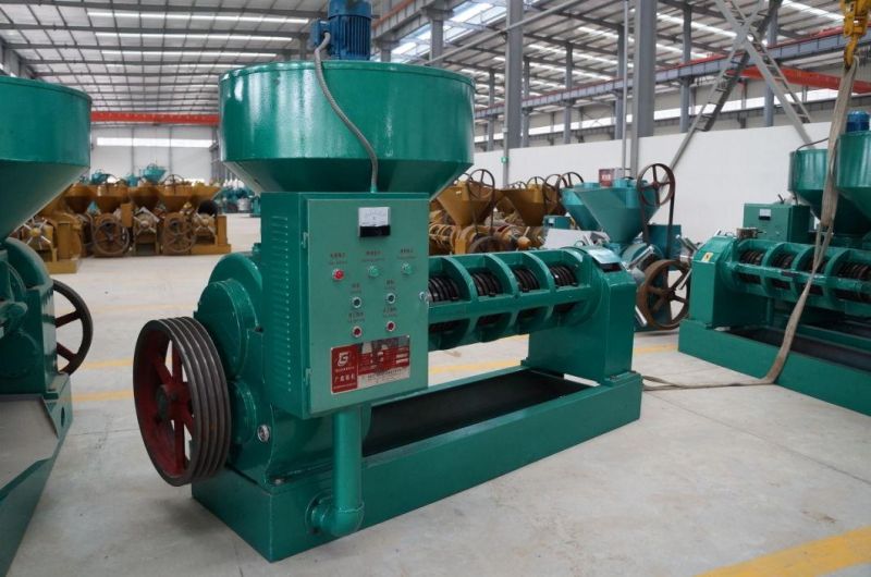 Top Selling 20tpd Sunflower Oil Press Machine (YZYX 168)