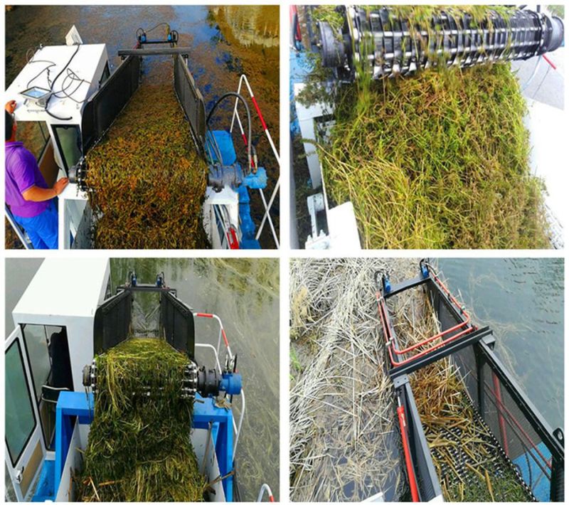 Semi Automatic Aquatic Seaweed Water Hyacinth Weed Harvester Trash Skimmer for Sale