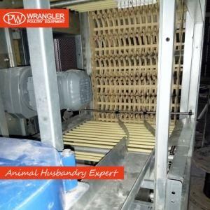 Good Price Automatic Poultry Farm Equipment Layer Chicken Battery Cage for Sale