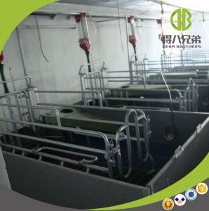 Livestok Equipment Hot DIP Galvanied Farrowing Crate Design