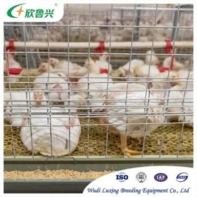 Livestock Equipment Galvanized Steel Wire Mesh Poultry Chicken Layer Cage System