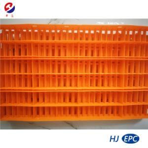 Specially Design Plastic Floor for Piglets