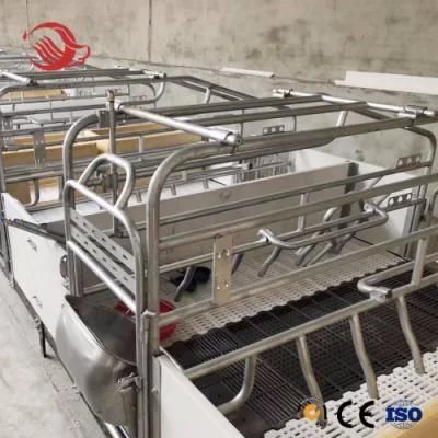 Factory Price Hot-DIP Galvanized Customized Size Pig Sow Farrowing Crate