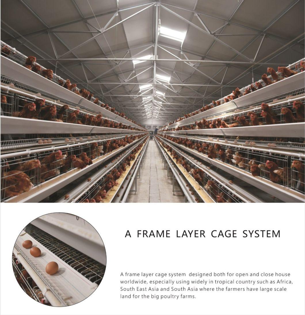 a Frame Automatic Multi-Purpose Chicken Cage Equipment