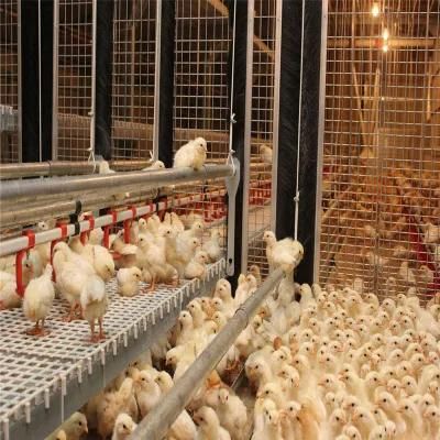 Quickly Installation Small Labor Stainless Steel Meat Chicken Coop