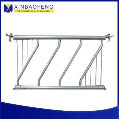 Dairy Farm Hot Galvanized Pipe Cow Comfortable Free Stall