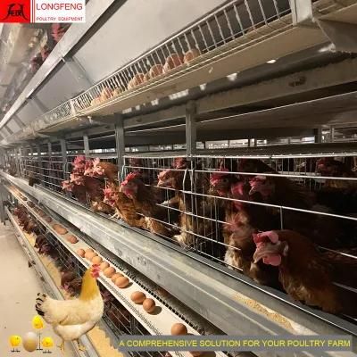 1 Year Warranty Egg Chicken Cage Automatic Machine for Layers Chickens